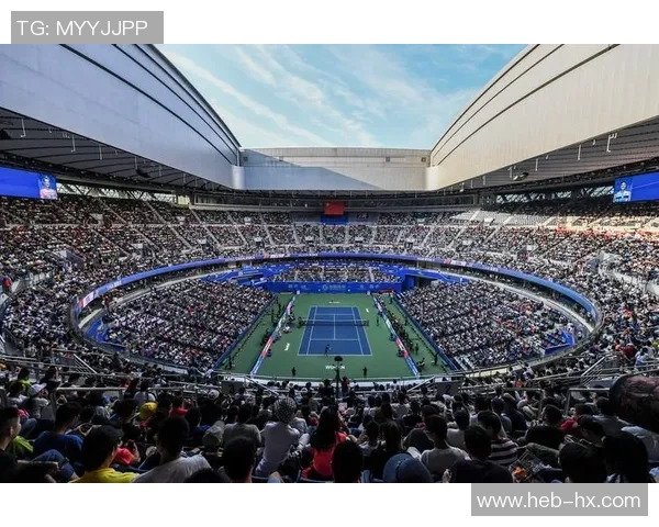 武汉网球队引领最新网球节奏TOP10榜单精彩纷呈