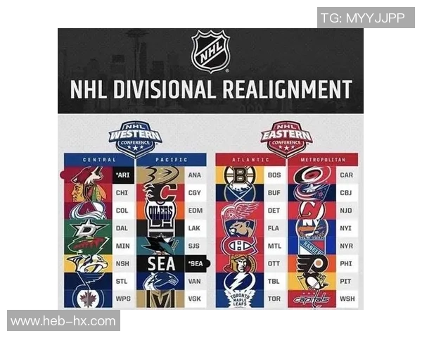 南京羽毛球队配合方式深度解析与其他球队的比较分析